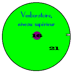 Le Venboratoire, niveau haut...